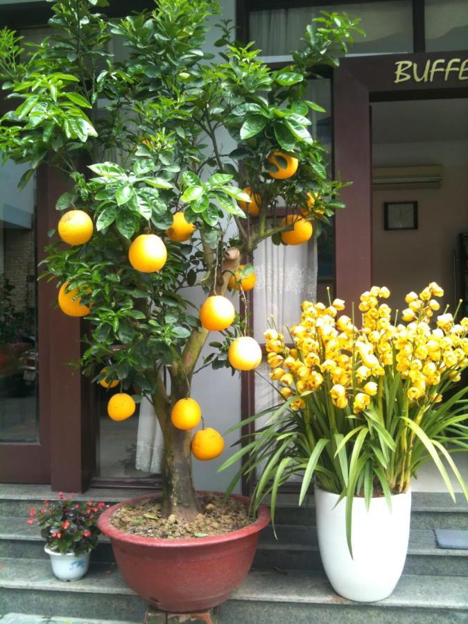 Thien Anh Hotel Hai Phong Dış mekan fotoğraf