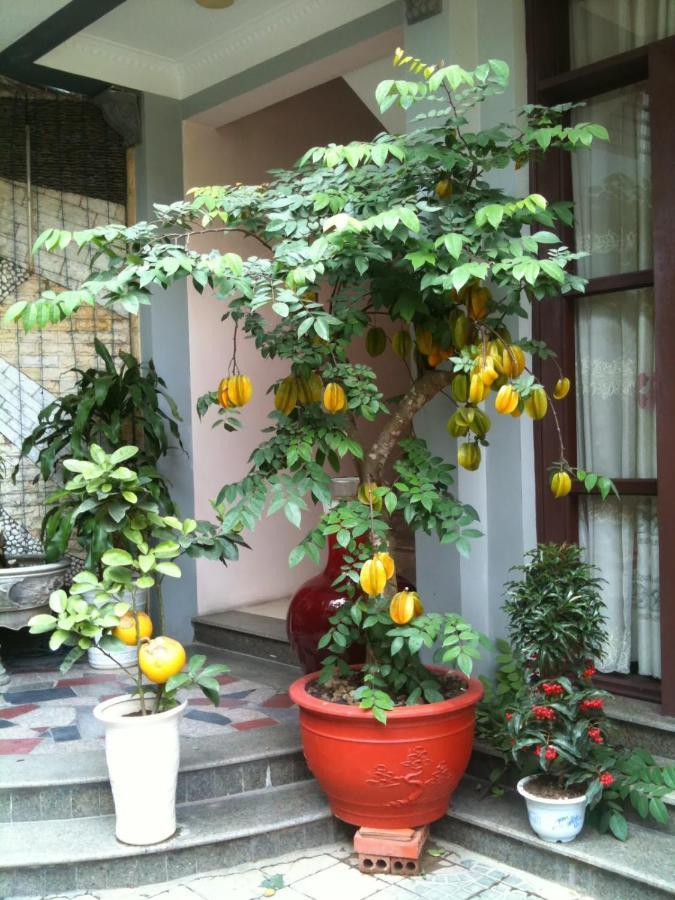 Thien Anh Hotel Hai Phong Dış mekan fotoğraf